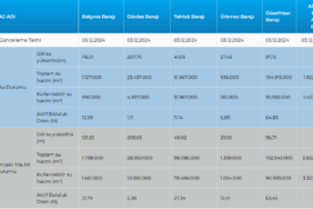 Ekran Görüntüsü (1141)