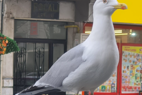 Ekran Görüntüsü (1160)