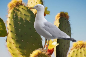 Ekran Görüntüsü (1178)