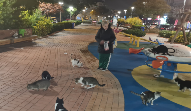 KEDİCİ ABLA “YASEMİN HANIM”