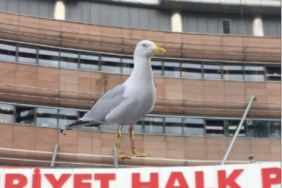 Ekran Görüntüsü (1299)