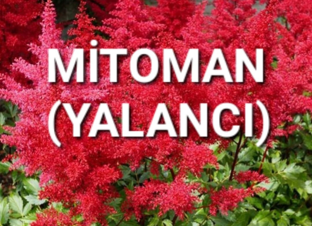 MITOMAN (YALANCI)