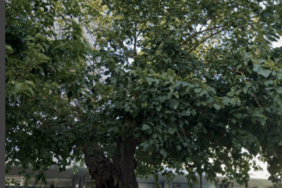 Ekran Görüntüsü (706)