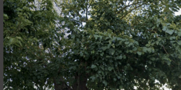 Ekran Görüntüsü (706)