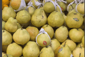 Ekran Görüntüsü (1180)