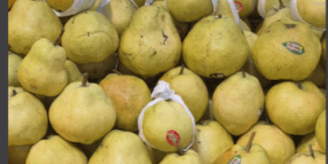 Ekran Görüntüsü (1180)