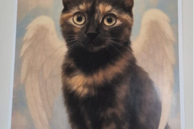 Ekran Görüntüsü (1631)