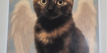 Ekran Görüntüsü (1631)