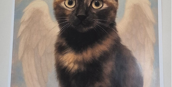 Ekran Görüntüsü (1631)