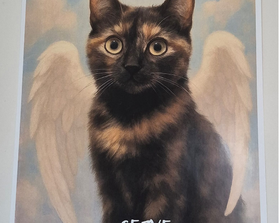 Ekran Görüntüsü (1631)