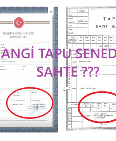 Ekran Görüntüsü (1963)