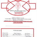 Ekran Görüntüsü (1967)