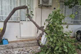 Ekran Görüntüsü (2133)