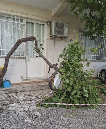 Ekran Görüntüsü (2133)