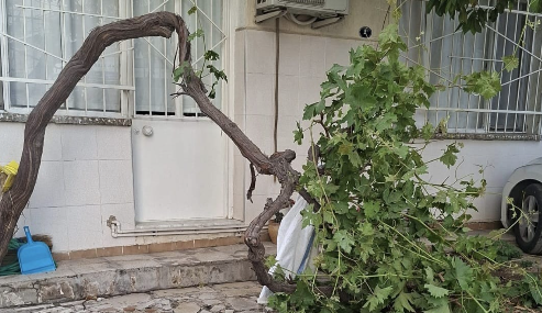 Ekran Görüntüsü (2133)